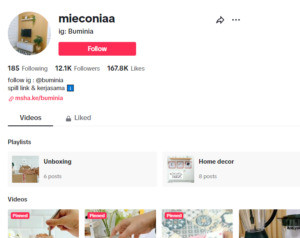 Cara Tambah Followers TikTok dengan dan Tanpa Aplikasi Gratis 2024