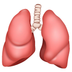 Lungs