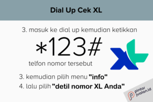 Cek nomor xl