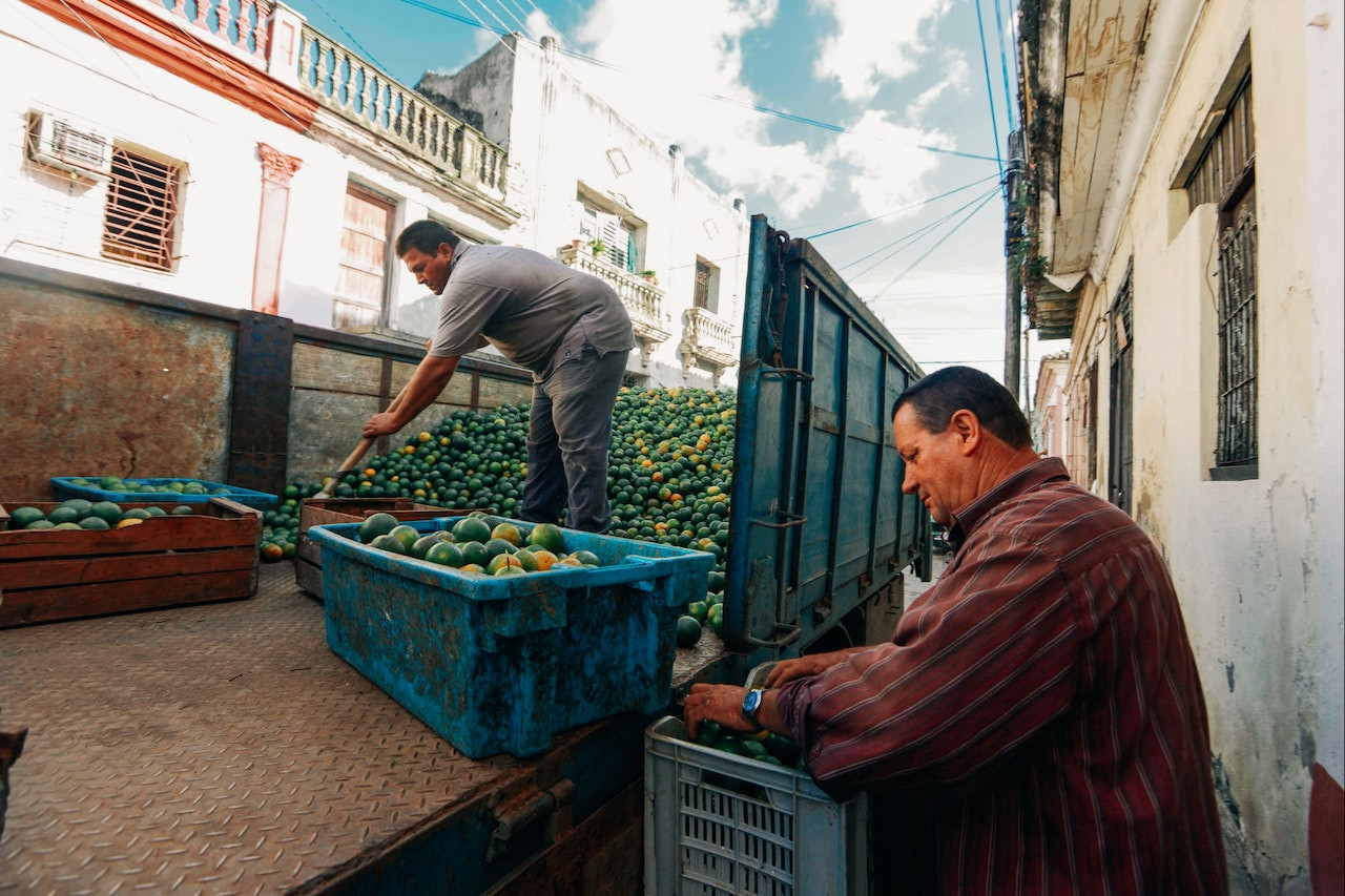 Cara packing buah untuk dikirim agar tetap fresh