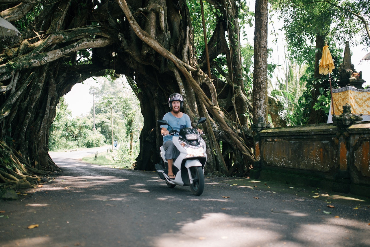 Peluang usaha di kota bali