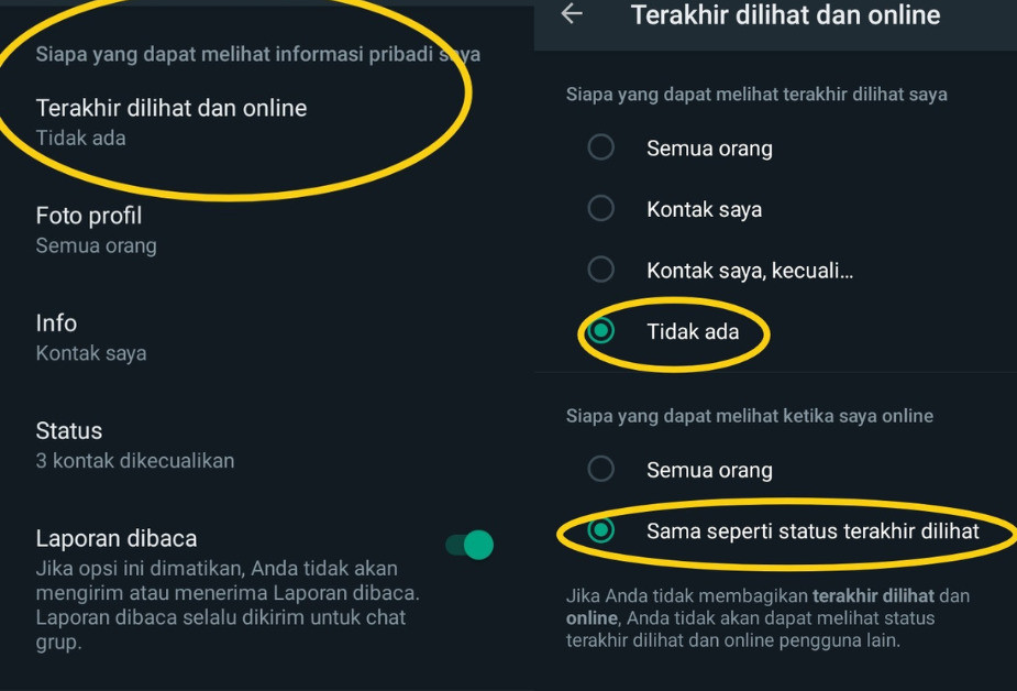 cara agar whatsapp tidak terlihat sedang online dan mengetik