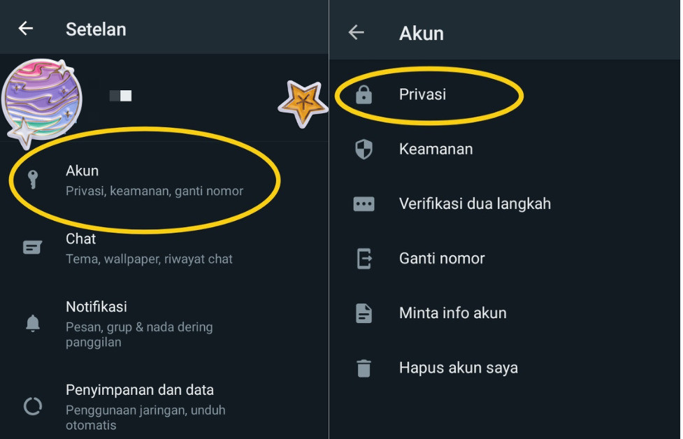 cara agar whatsapp tidak ketahuan online dan mengetik