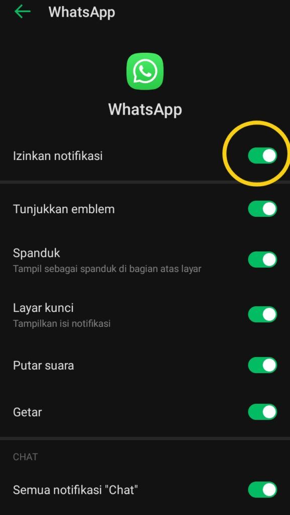 cara menonaktifkan aplikasi whatsapp
