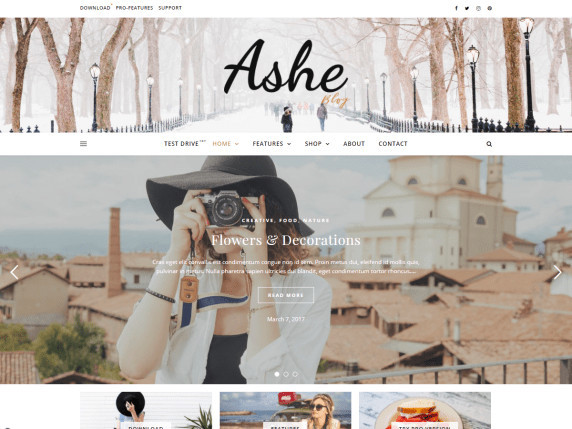 Tema wordpress terbaik dan seo friendly, tampilan tema wordpress gratis ashe