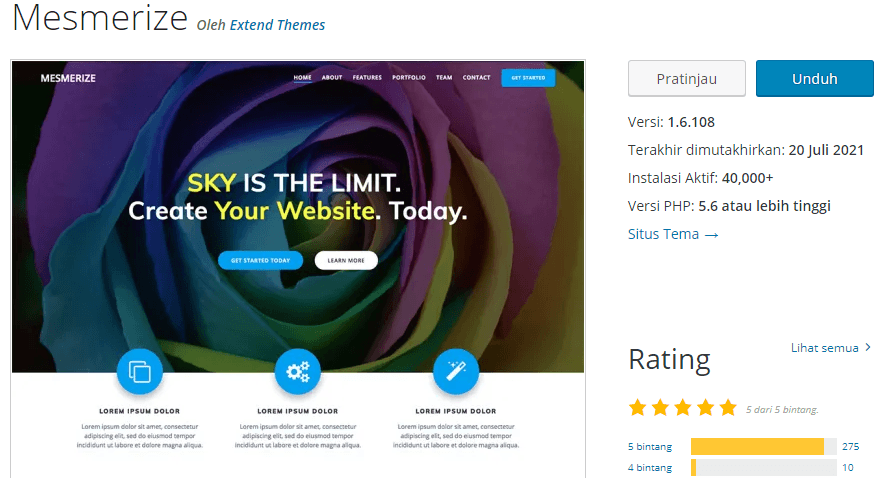 Rekomendasi Template WordPress Gratis Terbaik: Mesmerize