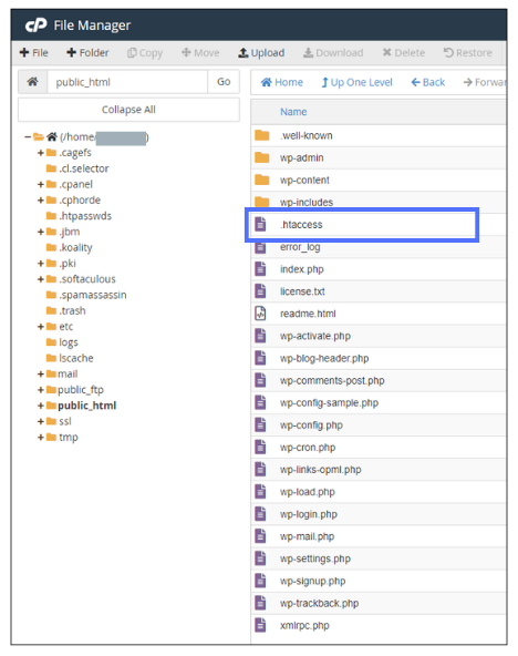 file htaccess WordPress hilang