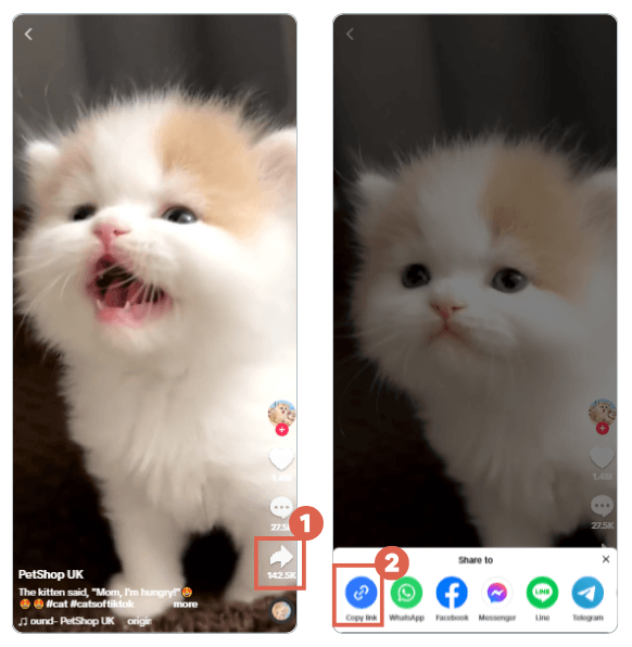 Cara Embed Video TikTok di WordPress