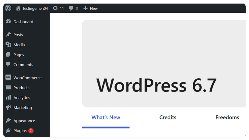 cara mengatasi tidak bisa update versi WordPress